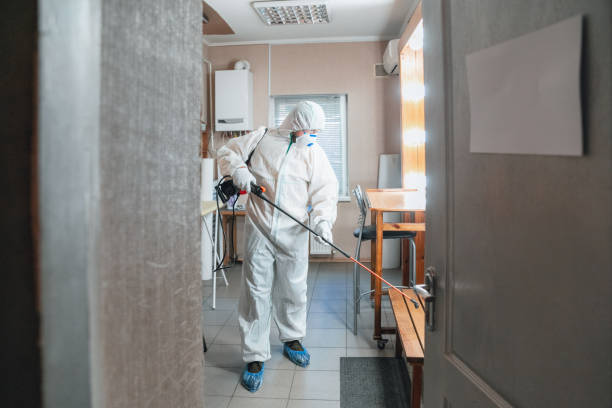 Best Comprehensive Air Testing for Mold Contaminants  in Fort Defiance, AZ