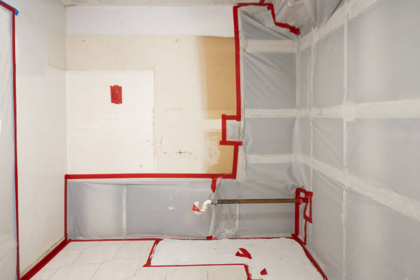 Mold Removal for HVAC Installations in Fort Defiance, AZ