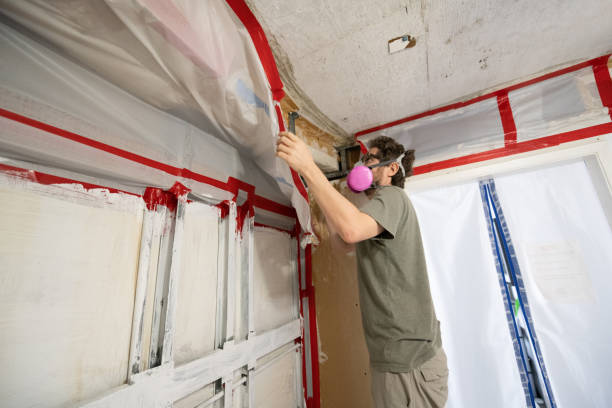 Best Asbestos and Lead Testing During Mold Inspection  in Fort Defiance, AZ