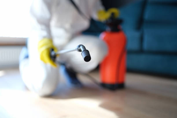 Best Post-Remediation Verification Testing  in Fort Defiance, AZ