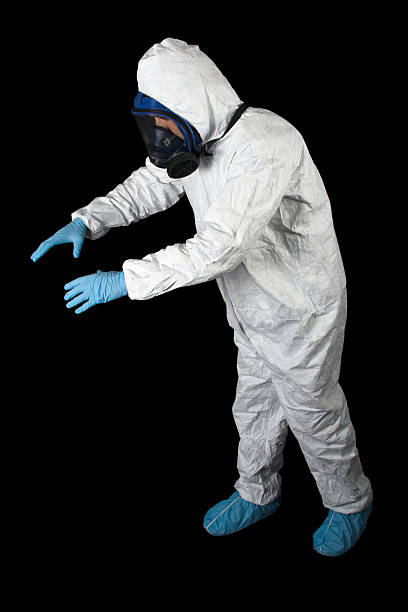 Best Crawl Space Mold Remediation  in Fort Defiance, AZ
