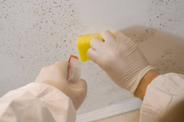 Best HVAC Mold Inspection and Cleaning  in Fort Defiance, AZ