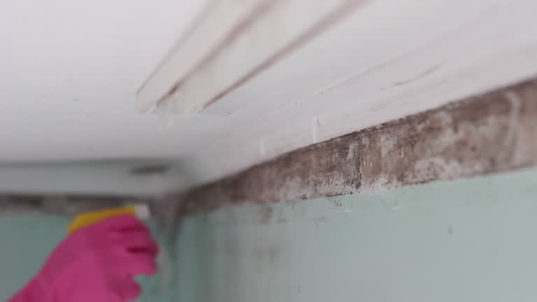 Best Airborne Mold Testing  in Fort Defiance, AZ